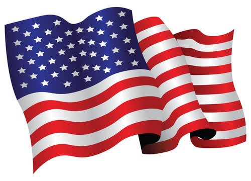 picture of the US flag